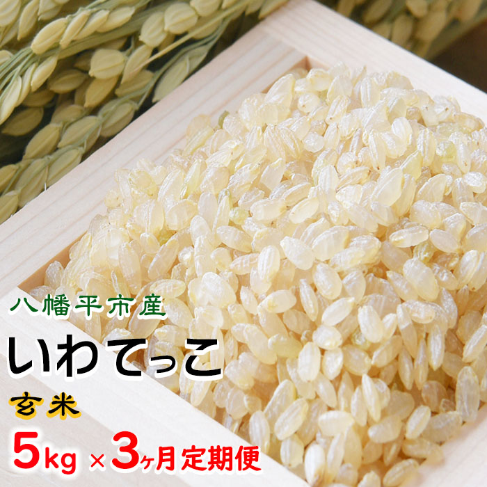 【令和7年産】 新米 11月中旬発送開始予定 いわてっこ 玄米 5kg×3ヶ月 定期便 ／ せの畑 こめ 米 コメ お米 おこめ ご飯 ごはん げんまい