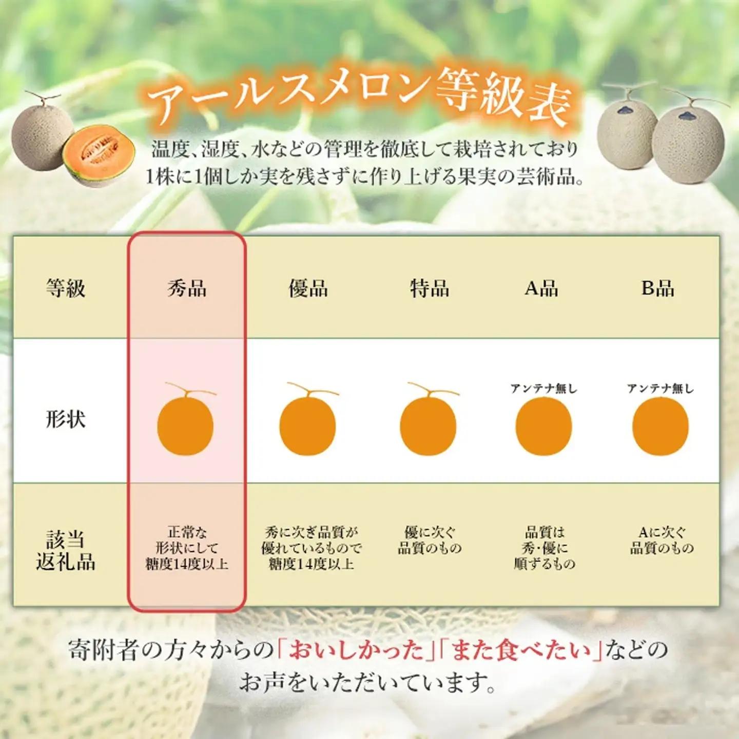 メロン 赤肉 茨城県産 R8年産 アールスメロン 秀品 1個