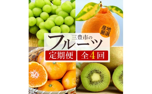 【4回定期便】シャインマスカット入り 旬のフルーツ定期便2(富有柿)