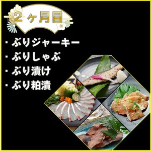 【3回定期便】冬の味覚氷見天然ぶり全部盛り ＜2025年12月以降順次発送＞  寒ぶり 限定 鰤 富山県 氷見市