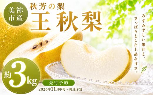 王秋 約 3kg 先行予約 ( 2026年11月中旬～発送予定 ) | フルーツ 果物 くだもの 梨 なし ナシ おうしゅう 3キロ 特産品 山口県 山口 美祢市 美祢 秋芳 秋芳町 カルスト台地 期間限定