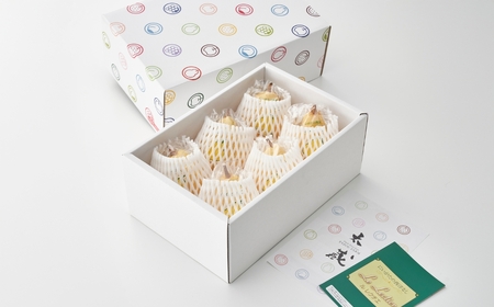 【2025年先行予約】新潟特産 「幻の洋梨」ル・レクチェ【贈答用】 2kg（5~7玉）《11月下旬~出荷》 果物 洋梨 梨 フルーツギフト 冬の味覚 産地直送 加茂市 太蔵ファーム