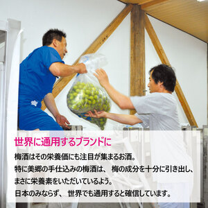 梅酒 美郷竜峡 500ml 1本 梅酒 農事組合法人フジ