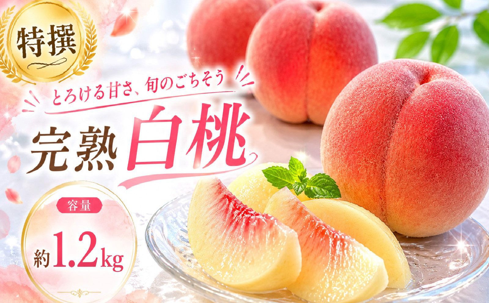 
                  【8月下旬発送】 桃 川中島白桃 特撰 約1.2㎏ 先行予約 盛岡市産 白桃 完熟 もも モモ 果物 くだもの フルーツ 旬 産地直送 農家直送 デザート おやつ 自宅用 詰め合わせ 贈答 ギフト 朝採り 新鮮 甘い 人気 ジューシー ピーチ 夏 2026年 特産品 岩手県 盛岡市 東北 岩手 盛岡 ふじむら農園 fujimura003
                