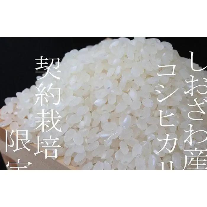 【令和7年産】契約栽培限定 南魚沼しおざわ産コシヒカリ5Kg【銘柄米 ブランド米 精米 こしひかり コシヒカリ 魚沼産 新潟米 産地直送 お米 米 こめ コメ ご飯 御飯 ごはん】