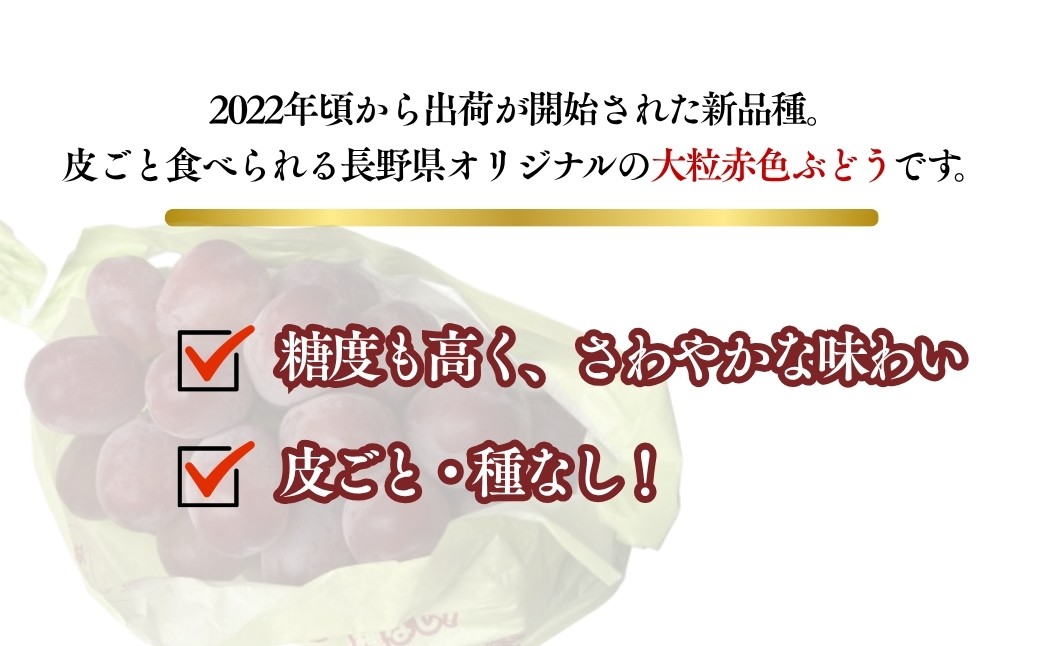 長野県オリジナル赤ぶどう