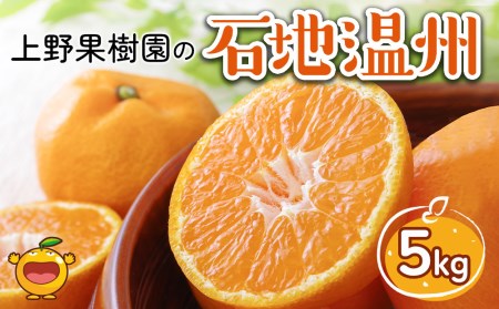 上野果樹園の石地温州 温州みかん 5kg |津久見市 みかん 温州