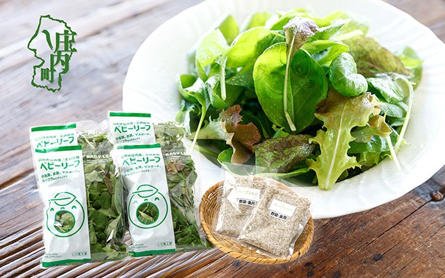 庄内産 ベビーリーフミックス 70g×4袋と野菜用ハーブ塩セット 土耕栽培 サラダ スムージー 若葉 野菜 生野菜 新鮮 山形県 冷蔵