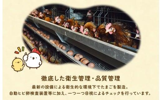 【定期便2回】九十九里ファームこだわりたまご贈答用 90個 ～あおい海・みどりの里～《赤玉》 たまご 卵 玉子 タマゴ 赤玉 卵かけご飯 新鮮 旨み 甘み 贈答用 贈答 ギフト 贈り物 千葉県 匝瑳市