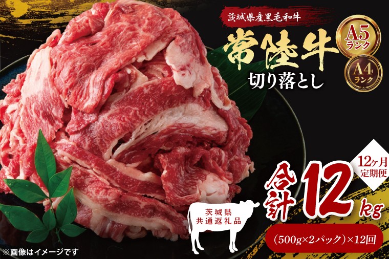 
                  【茨城県共通返礼品】【12ヶ月定期便】常陸牛切り落とし1kg（500g×2）｜ブランド牛 銘柄牛 和牛 黒毛和牛 国産 A5・A4ランク 等級 お肉 牛肉 牛丼 すき焼き 炒め物 小分け 定期 12回 毎月 茨城県 大子町（DD013）
                