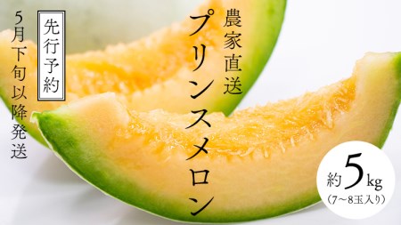 メロン プリンスメロン 1箱 約5kg  7～8玉 メロン メロン メロン メロン メロン メロン メロン 