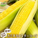 【ふるさと納税】《先行予約》まるでフルーツ！特別栽培 トウモロコシ 激甘！極旨のスーパースイート系トウモロコシ「カミオカスターコーン」 コーン とうもろこし 野菜 夏 贈答 ギフト 令和7年産 [B0107]12000円