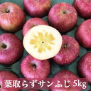 【ふるさと納税】[先行予約／数量限定] 栃木県矢板市産「葉取らずサンふじ」5kg【2024年11月下旬よりお届け】｜リンゴ 林檎 フルーツ スイーツ 果物 果実 産地直送 [0447]