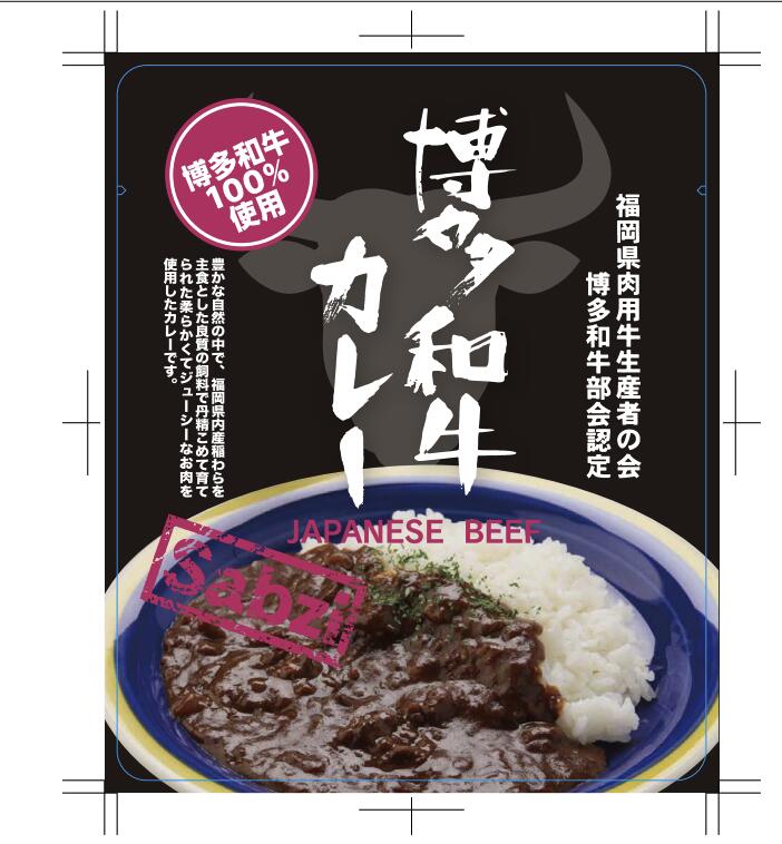 【ふるさと納税】博多和牛カレー（10食入り）