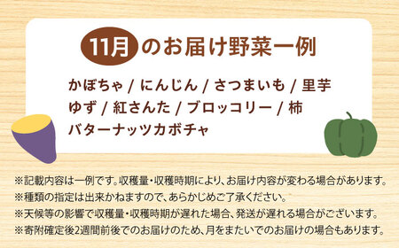【数量限定・先行予約11】厳選！旬を味わう高槻野菜詰合せセット（10種～15種）【2024年11月発送】
