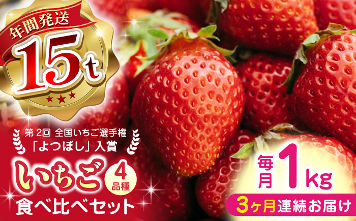 【先行予約】【全3回定期便】【2025年12月より順次発送】いちご食べ比べ セット 4品種 総計3.0kg ( 250g × 4P × 3回 ) 農園直送 産地直送 熊本県産 山都町産 いちご イチゴ ストロベリー【なかはた農園】[YBI003] 