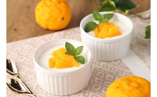 球磨の恵み A2牛乳 球磨の恵みヨーグルト 加糖 セット