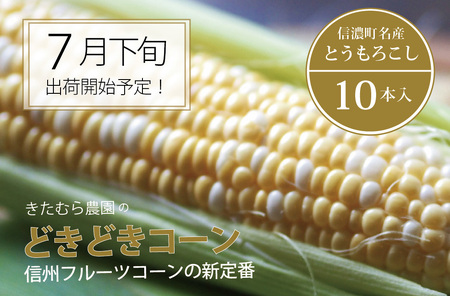 【7月下旬出荷開始予定】きたむら農園『どきどきコーン』×10本セット（約4～4.2kg相当）信濃町名産とうもろこし／スイートコーンの定番品種、予約受付中！　2024年8月下旬まで随時出荷【長野県信濃町