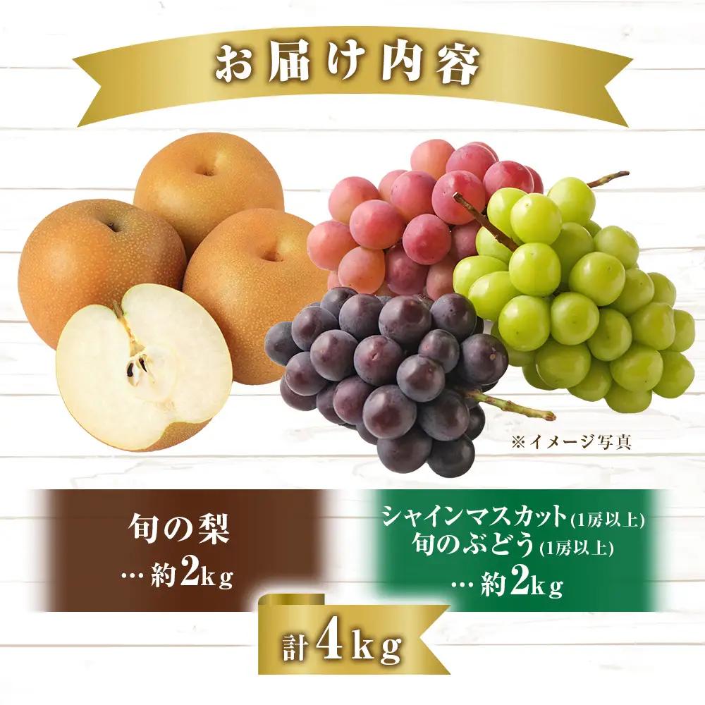シャインマスカット 等と 梨 セット 計4kg