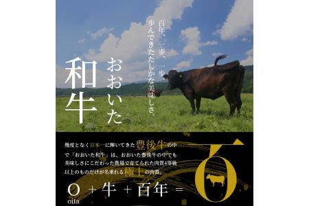 A01062　百年の恵 「おおいた和牛」 カルビステーキ約400g