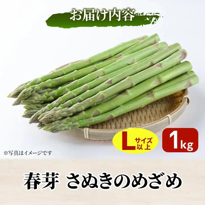 ＜先行予約！2027年3月上旬以降順次発送予定＞春芽！太物アスパラガス「さぬきのめざめ」(約1kg・Lサイズ以上) 香川県 国産 野菜 アスパラ 新鮮 冷蔵便 【man116-B】【Aglio ner