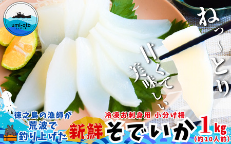 徳之島の漁師が荒波で釣り上げたそでいか 冷凍お刺身用小分け柵 1kg（約10人前） （ ソデイカ いか イカ 大型のいか 回遊 お刺身 甘い ねっとり 冷凍 新鮮 お寿司 料理 徳之島 奄美 沖縄 鹿児島 海鮮 umi-otoとくのしま ）
