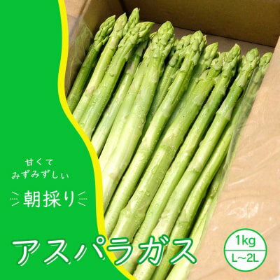 【ふるさと納税】【先行予約】発送2025年4月 アスパラガス 小郡産 朝採りアスパラガス 1kg (L、2Lサイズ混) 野菜 永利農園 　お届け：2026年10月末まで