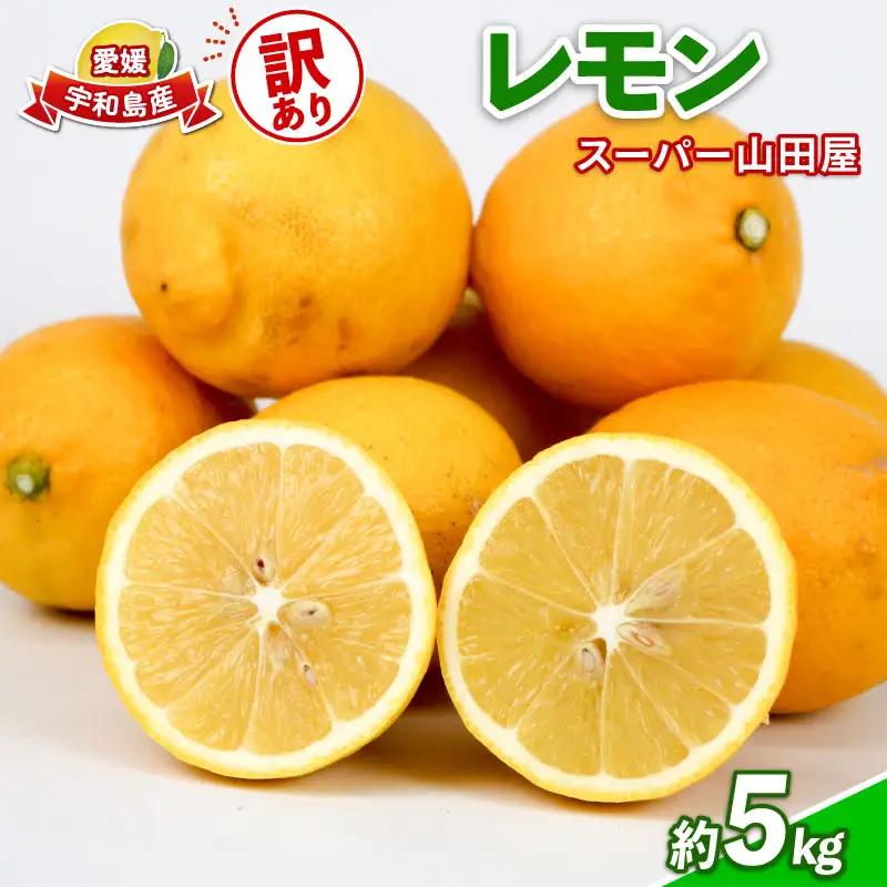 訳あり レモン 約 5kg スーパー山田屋 わけあり れもん 檸檬 レモン果汁 酸味 爽やか 果実 サワー ジュース チューハイ remon 果物 くだもの ビタミン フルーツ 柑橘 産地直送 数量限定 国産 愛媛 宇和島 B010-198011