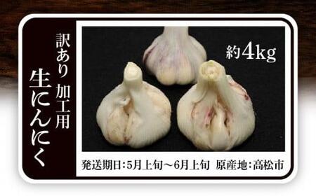 加工用 訳あり 生にんにく 約4kg【2026-5月上旬～2026-6月上旬配送】