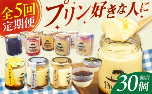 【5回定期便】プリン好きにプリン定期便 広川町 / イートウェル株式会社 [AFAK317]