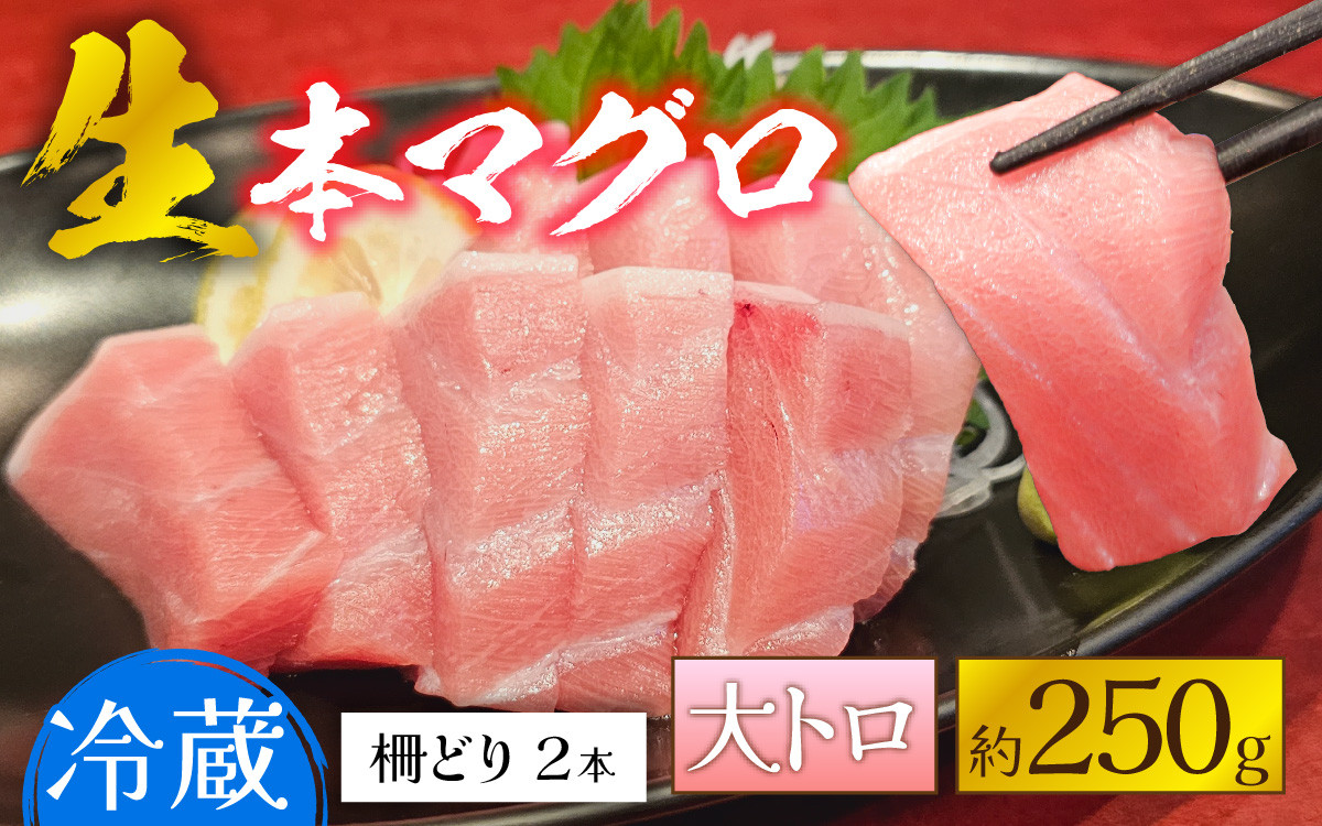 
【冷蔵・指定日着可】生本マグロ大トロ 約250g 2～3人前 [A-066007]
