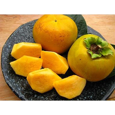 ふるさと納税 紀の川市 観音山太秋柿　3kg |  | 01