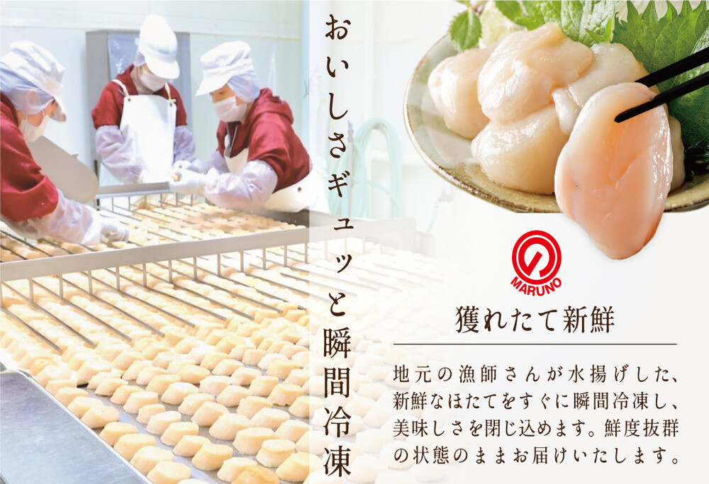 【 毎月4か月定期便 】北海道 野付産  冷凍ホタテ 料理に使いやすい 旨粒 ホタテ 500g 全 4回 水産事業者支援