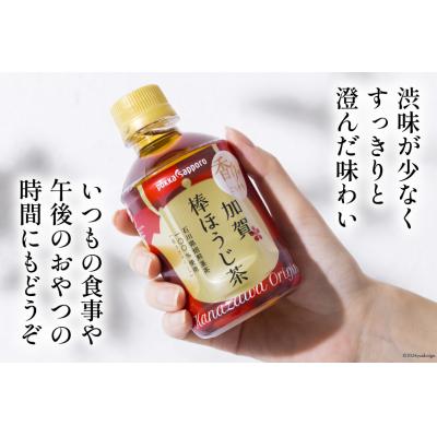 ふるさと納税 宝達志水町 ペットボトル 加賀 棒ほうじ茶 275ml 24本 5箱 計120本 [油谷製茶 38600751] |  | 03