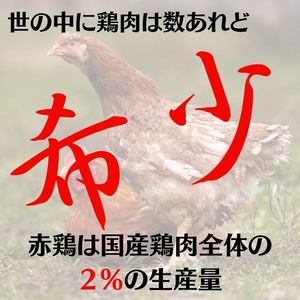 丹波赤どり もも肉＆むね肉 4kg セット（各2kg）京都亀岡丹波山本《鶏 鶏肉 モモ モモ肉 ムネ ムネ肉 業務用 訳あり 国産鶏 国産鶏肉 京都府産鶏肉 京都産鶏肉 地鶏鶏肉 鶏肉地鶏 鶏肉大容量