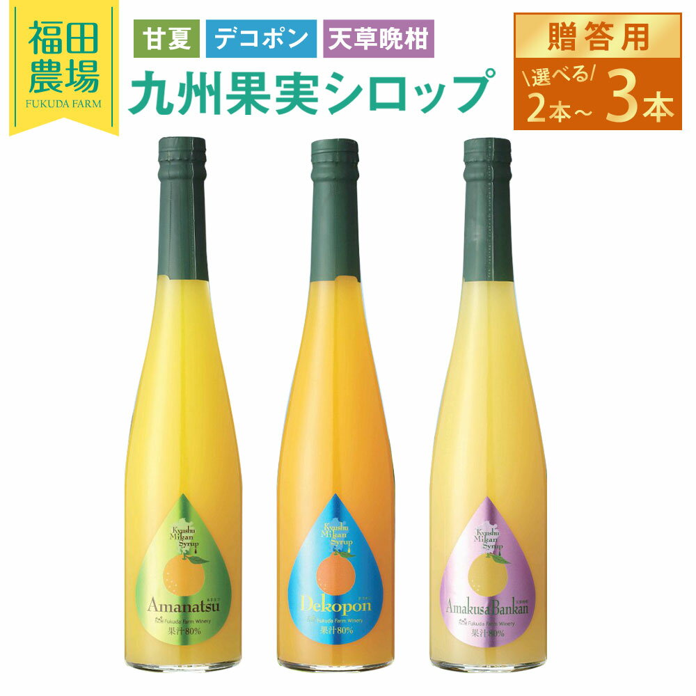 【ふるさと納税】＜選べる本数＞【贈答用】九州果実シロップ 2本セット （甘夏・天草晩柑） / 3本セット （甘夏・デコポン・天草晩柑） 1本500ml フルーツシロップ 柑橘 かんきつ くだもの 果実 果汁 調味料 ギフト 九州 熊本県 水俣市 送料無料