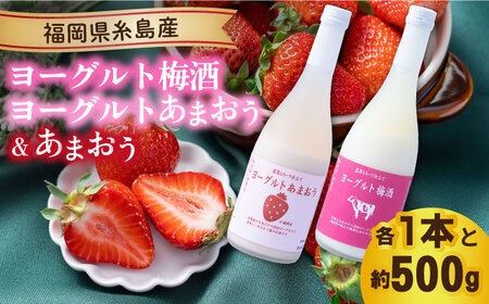 【先行予約】【冬】ヨーグルトあまおう＆ヨーグルト梅酒 各720ml×あまおう 約250g×2パック【2025年12月上旬以降順次発送】 糸島市 / 南国フルーツ株式会社 [AIK018]