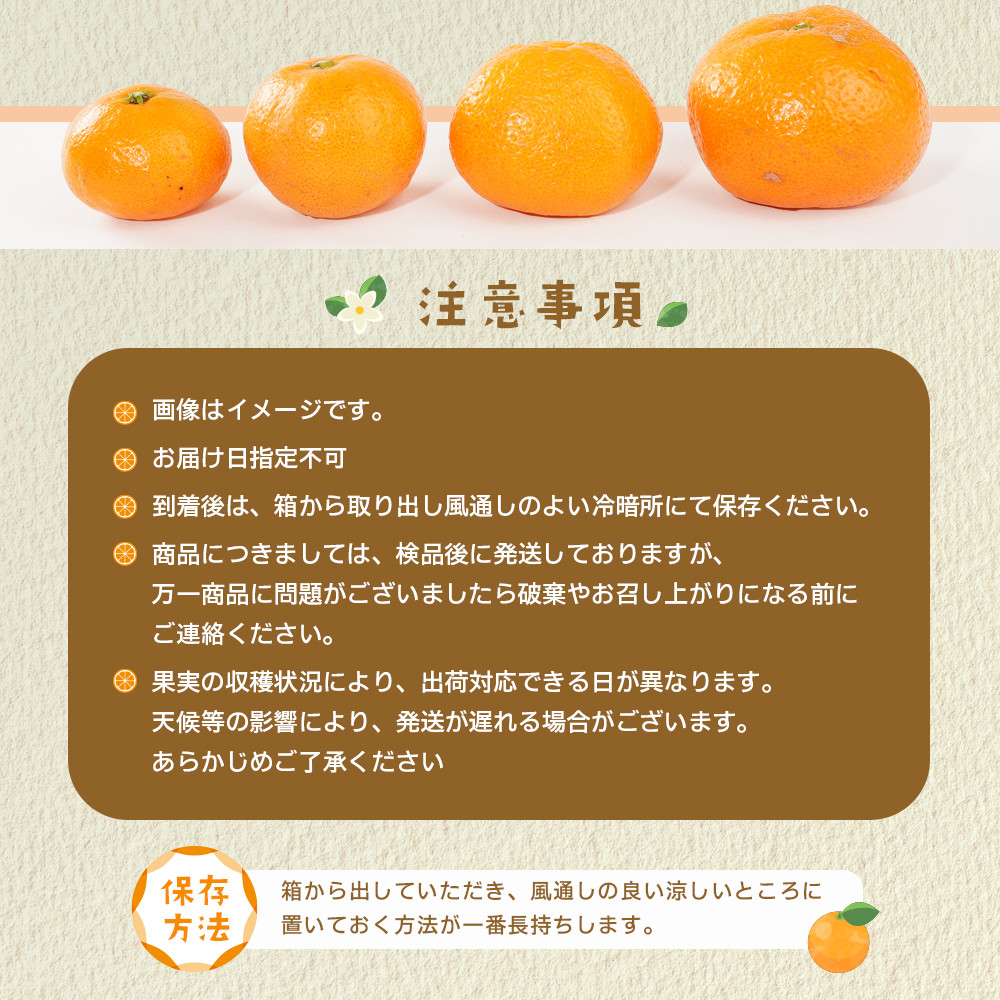 産地直送 有田みかん サイズ 不揃い 約10kg 喜楽farms 【2025年11月以降順次発送】AL05_イメージ5
