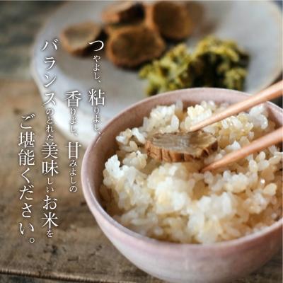 ふるさと納税 天草市 【令和7年産】コシヒカリ 玄米 5kg_S050-008A |  | 02