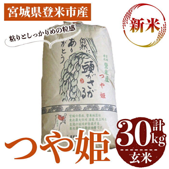 【ふるさと納税】＜先行予約！2025年10月以降順次発送予定＞≪令和7年産 新米≫ つや姫 玄米 30kg 登米市産 お米 おこめ 米 コメ ご飯 ごはん おにぎり お弁当 【登米ライスサービス株式会社】tm143