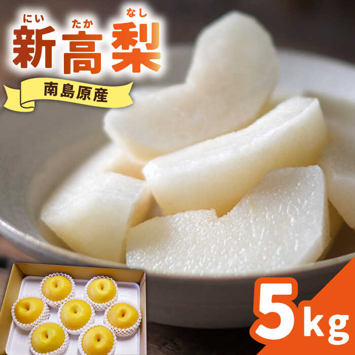 【ふるさと納税】【2025年9月〜発送】シャリッと食感がたまらない！新高梨 5kg (玉数おまかせ) / 梨 なし くだもの 果物 フルーツ 常温 ギフト プレゼント 贈り物 / 南島原市 / ふるさと企画 [SBA012]