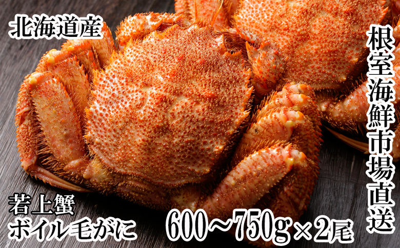 ボイル毛がに600～750g×2尾(若上蟹) F-11033
