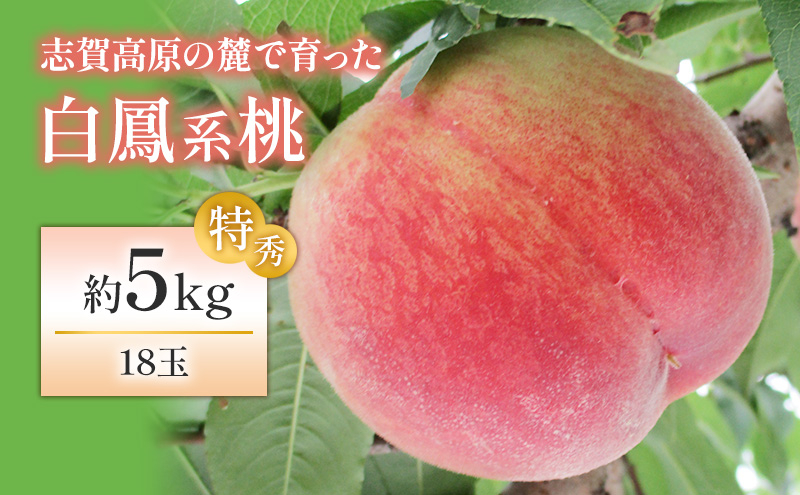
            志賀高原の麓で育った 桃（白鳳系）特秀18玉 約５kg  桃 もも 白鳳 フルーツ 果物 デザート 長野県 長野 
          