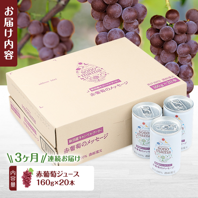 《 定期便 3ヵ月 》赤葡萄ジュース「sonomama」（160g×20本）ぶどう ブドウ ジュース ぶどうジュース 飲料
