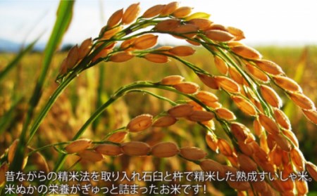 【6回定期便】令和7年産熟成すいしゃ米佐賀県産夢しずく10kg NAO052 