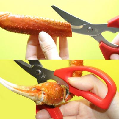 ふるさと納税 関市 かにはさみ　カニハサミ　かにハサミ　かに鋏　 |  | 02