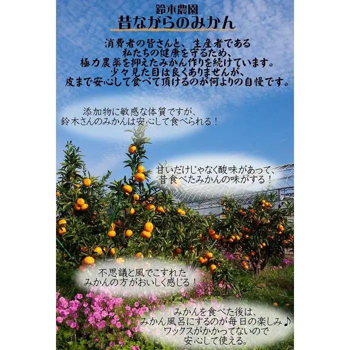 蔵出しみかん 3kg 小粒サイズ 鈴木農園みかん
