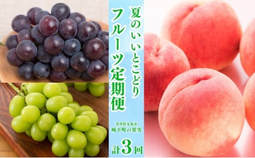 【全3回】フルーツ定期便「丸亀市夏のいいとこどり定期便」～少人数でも楽しみやすい食べきり版～/シャインマスカット 桃 ピオーネ  定期配送 頒布会 果実 果物 フルーツ 旬のフルーツ フルーツギフト フルーツ定期 フルーツ定期便 果物定期 果物定期便 人気果物 人気フルーツ 夏フルーツ