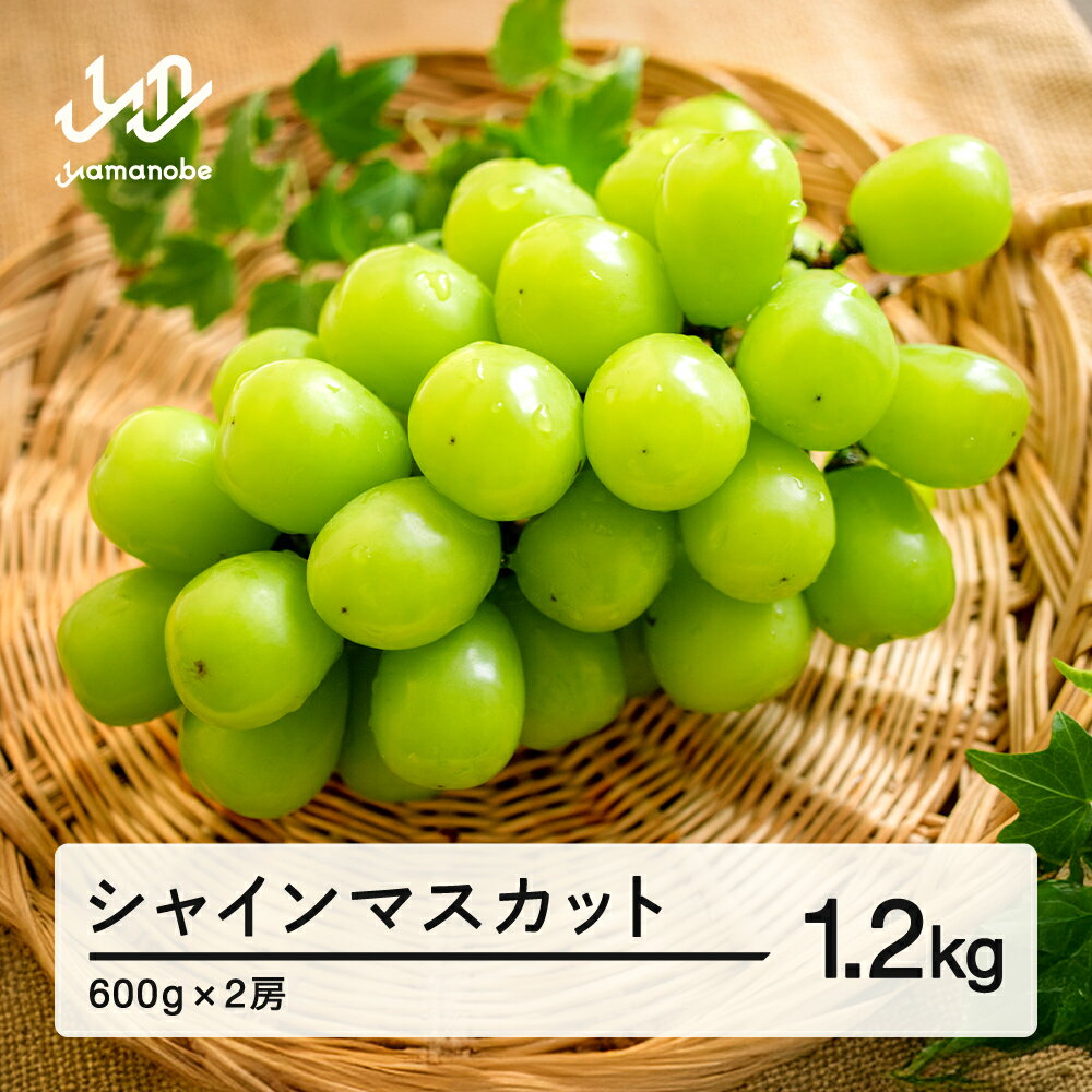 【ふるさと納税】ぶどう シャインマスカット 秀品 2房(約600g×2) 令和七年産 2025年産 山形県産 果物 送料無料 ns-busmx1200※沖縄・離島への配送不可