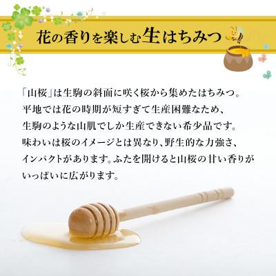 ふるさと納税 生駒市 生駒で採れた蜂蜜「山桜」500g |  | 02